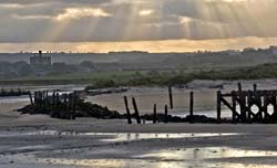  at The Willows Cottage, Northumberland