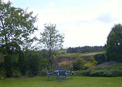 Garden at Willows Cottage, Northumberland
